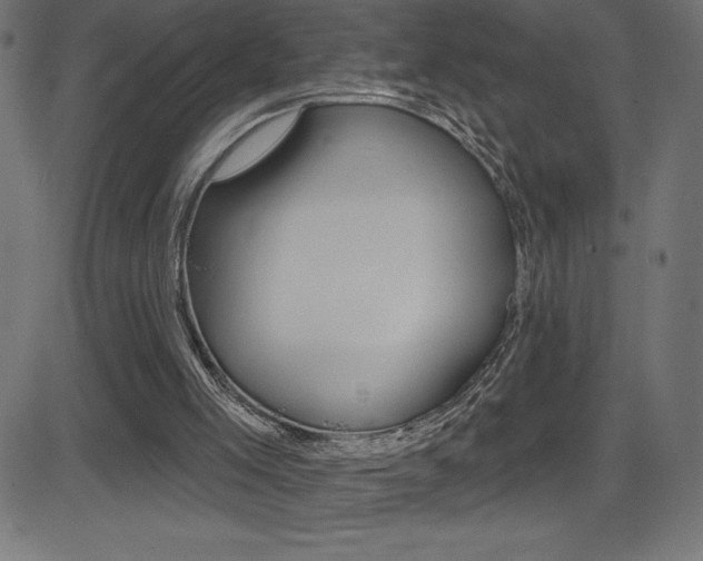 X0000081620005200701151106