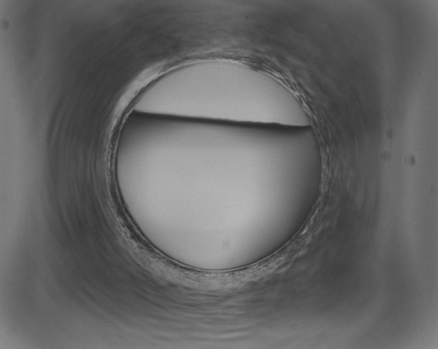 X0000081620006200701151106