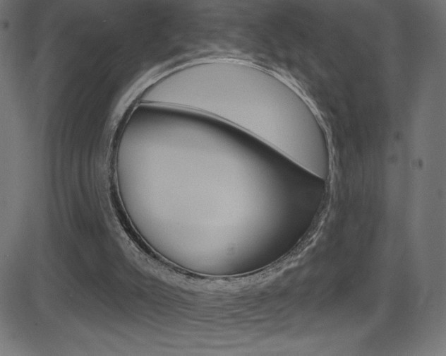 X0000081620007200701151106