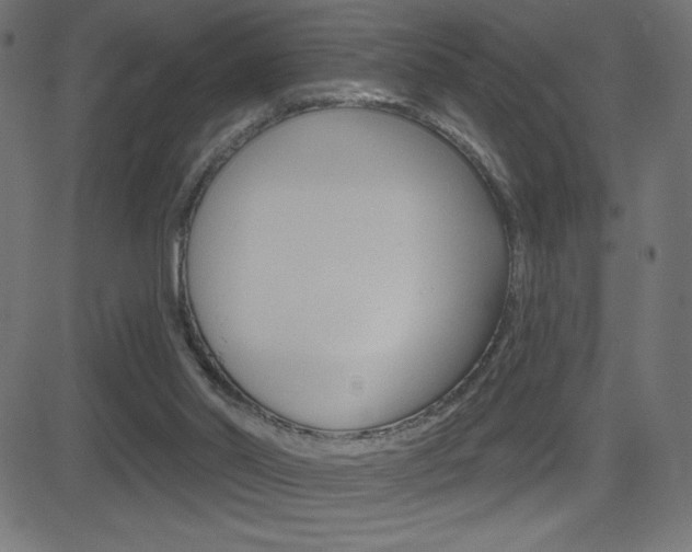 X0000081620014200701151106