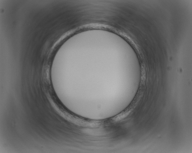 X0000081620016200701151106