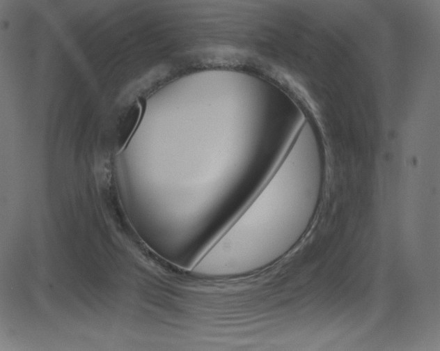X0000081620017200701151106