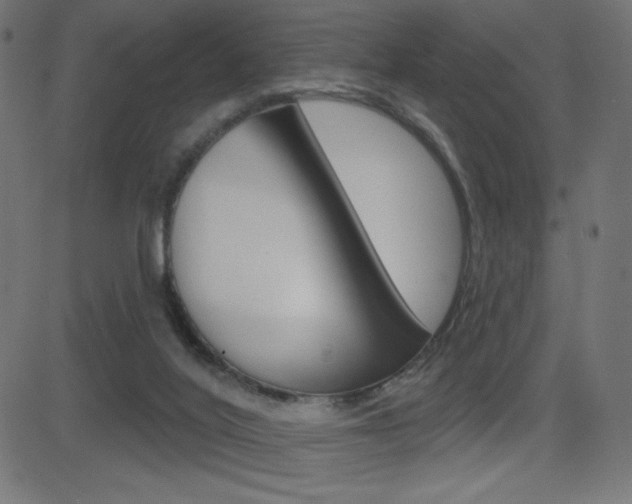 X0000081620020200701151106