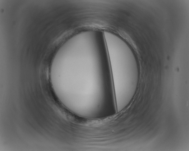 X0000081620021200701151106