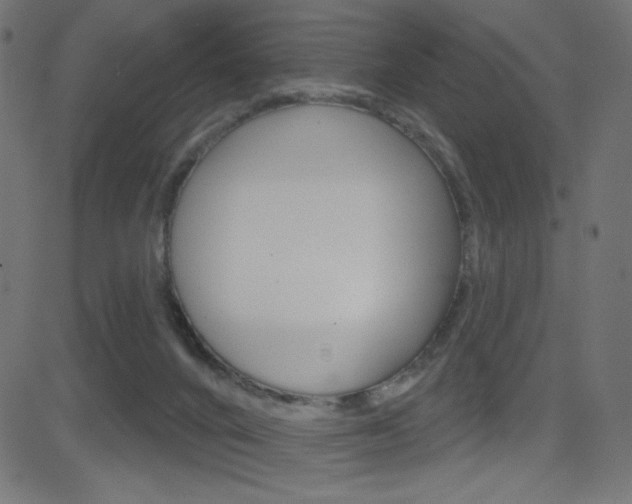 X0000081620024200701151106