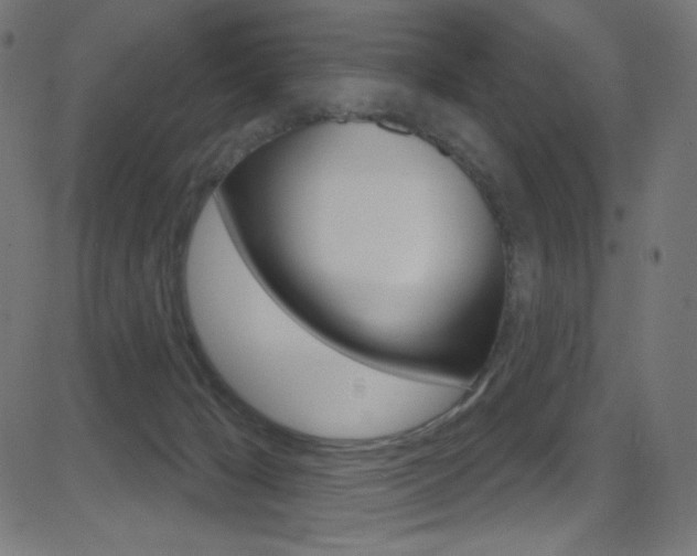X0000081620029200701151106