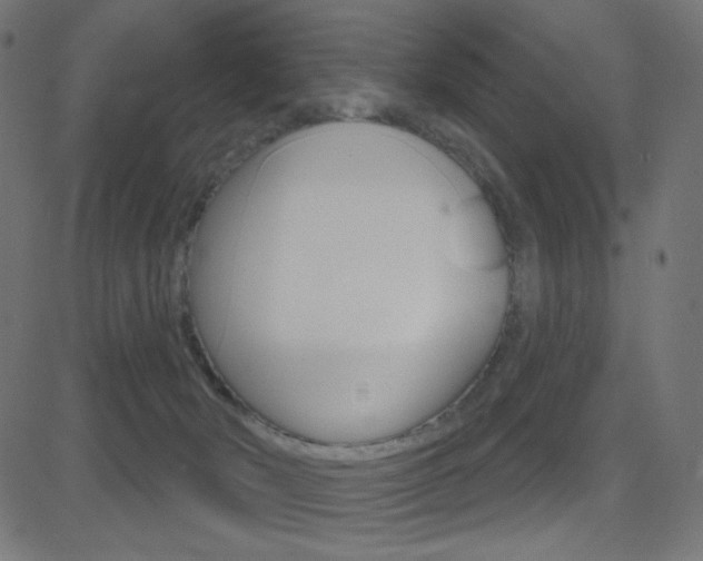 X0000081620030200701151106