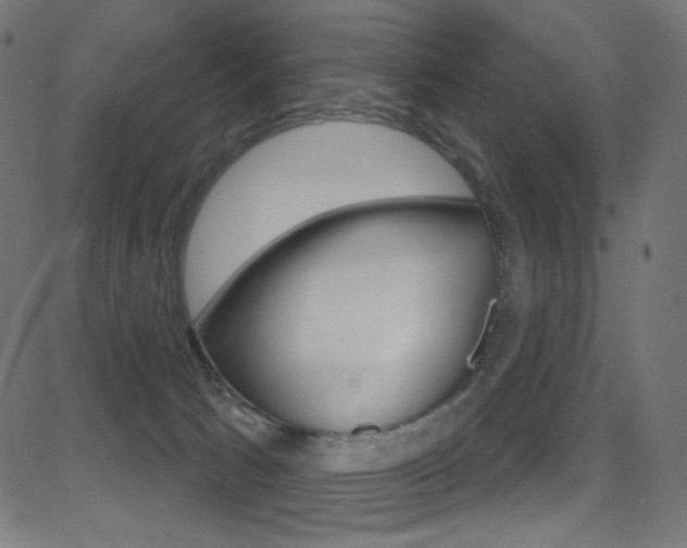 X0000081620033200701151106