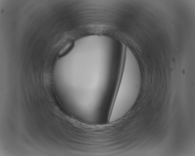 X0000081620035200701151106