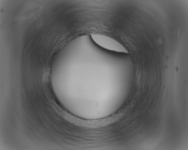 X0000081620038200701151106