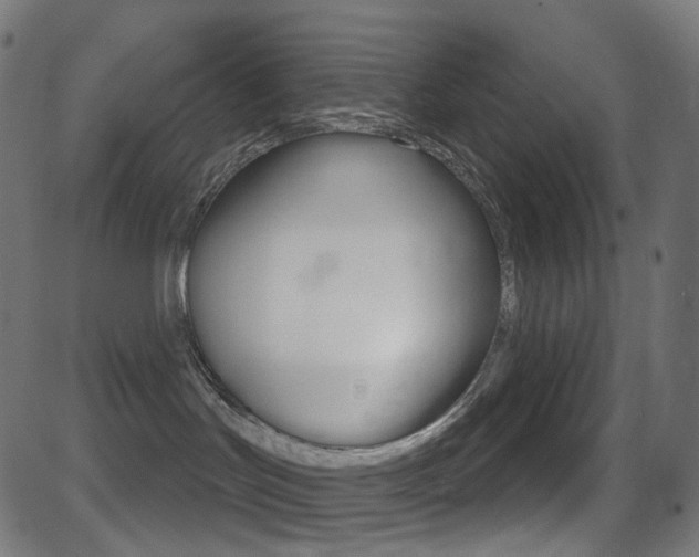 X0000081620047200701151106
