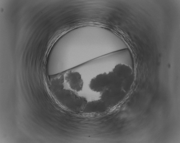X0000081620049200701151105