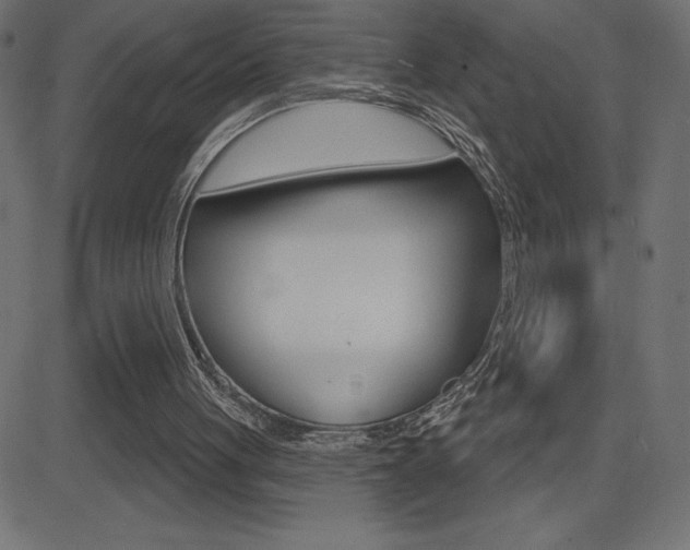 X0000081620051200701151105