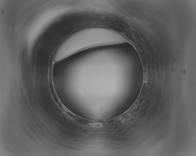 X0000081620052200701151105
