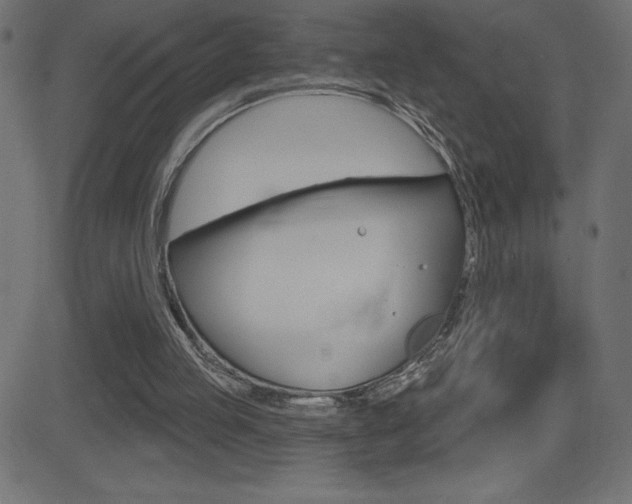 X0000081620053200701151105