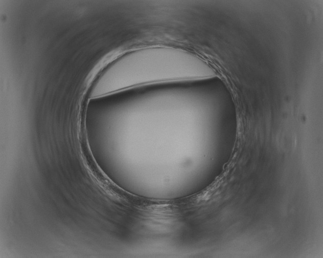 X0000081620054200701151105
