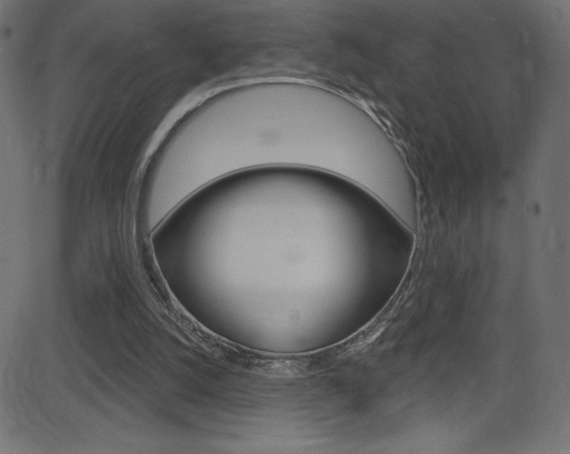 X0000081620056200701151105