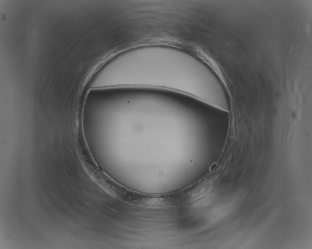 X0000081620059200701151105