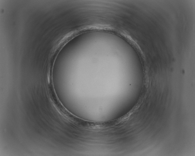 X0000081620062200701151105