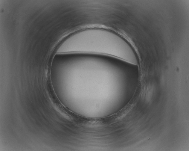 X0000081620063200701151105