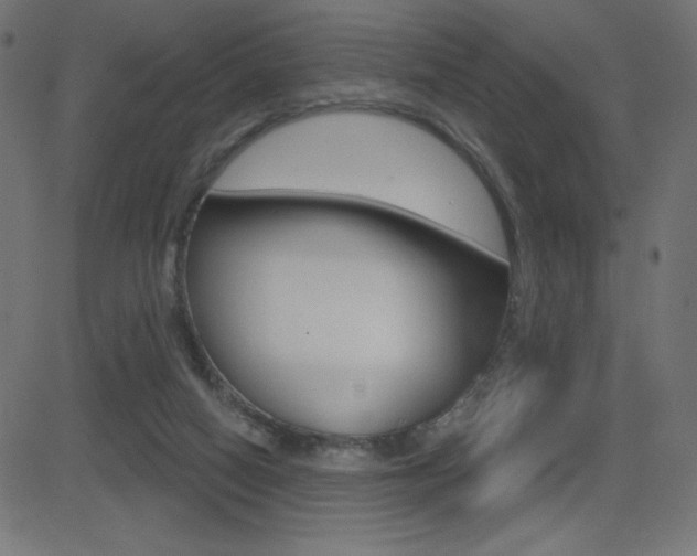 X0000081620066200701151105