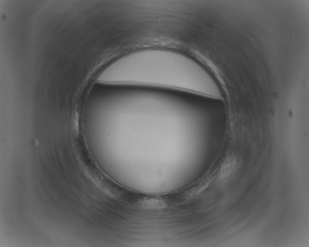 X0000081620067200701151105