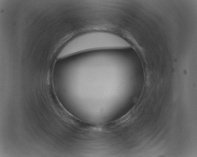 X0000081620068200701151105
