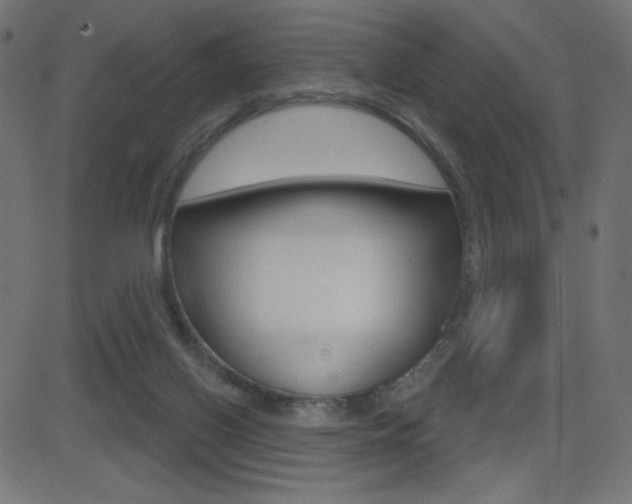 X0000081620070200701151105