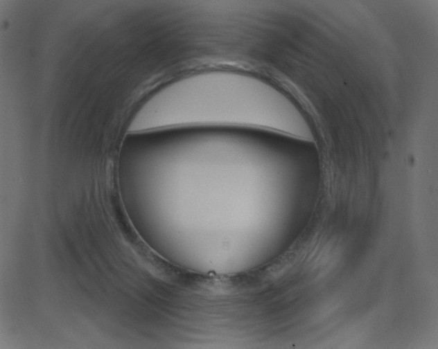 X0000081620071200701151105