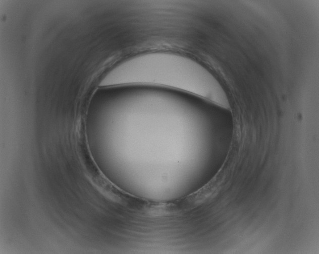 X0000081620072200701151105