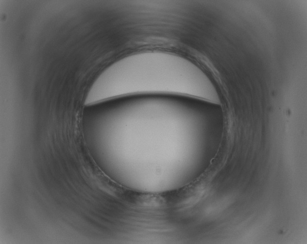 X0000081620073200701151105
