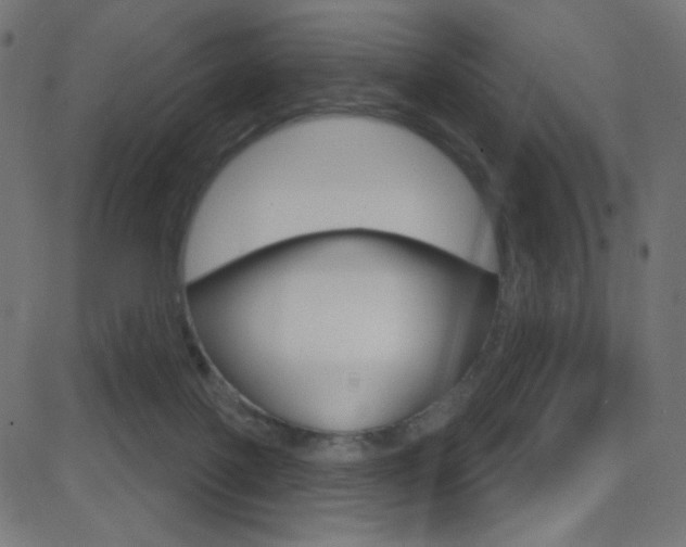 X0000081620075200701151105