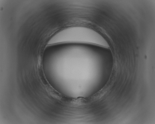 X0000081620076200701151105