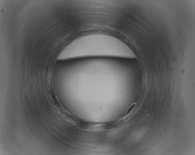 X0000081620078200701151105