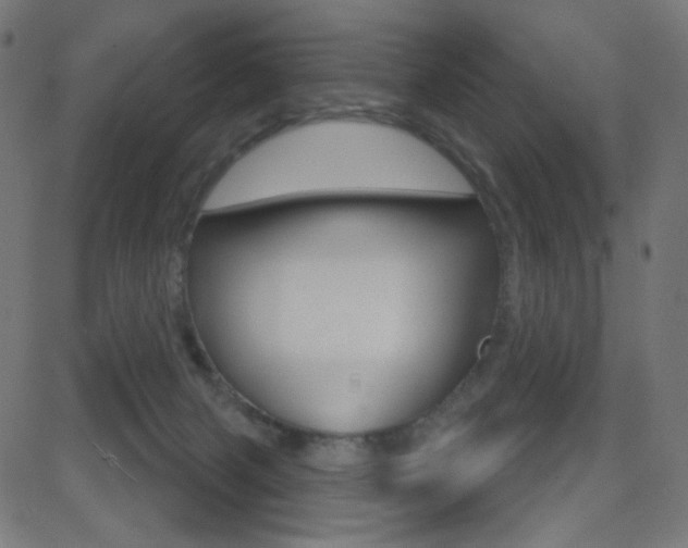 X0000081620079200701151105