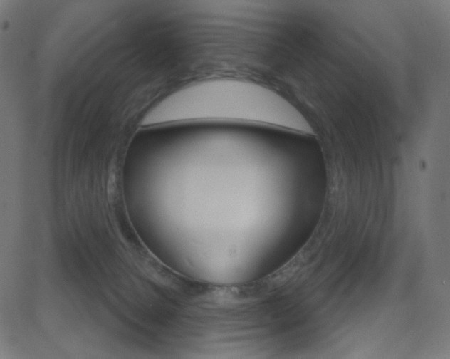 X0000081620080200701151105