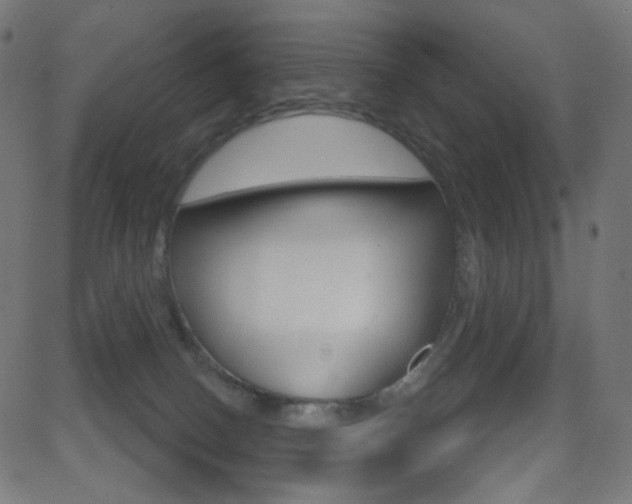 X0000081620082200701151105