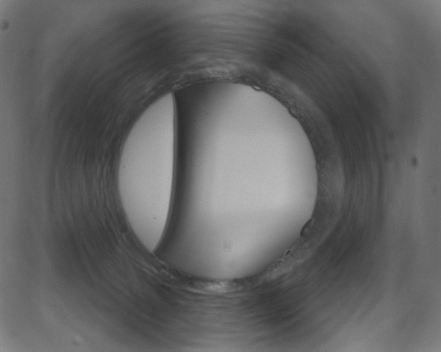 X0000081620083200701151105