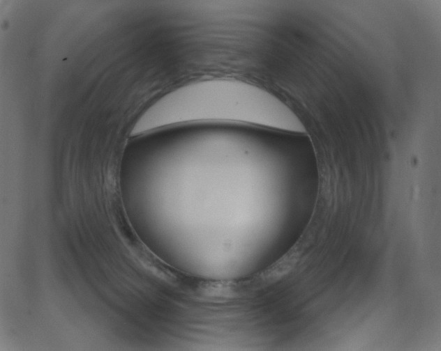 X0000081620084200701151105