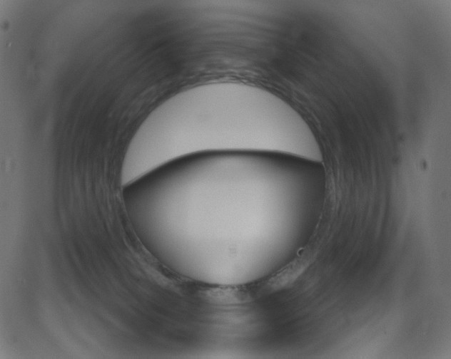 X0000081620085200701151105