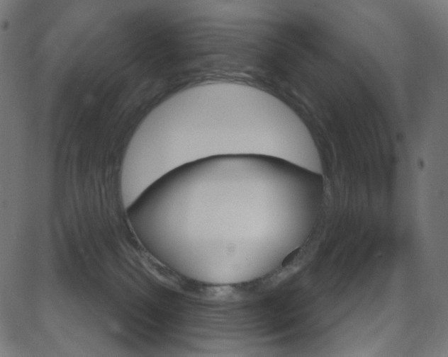 X0000081620087200701151105