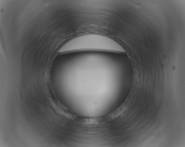 X0000081620088200701151105