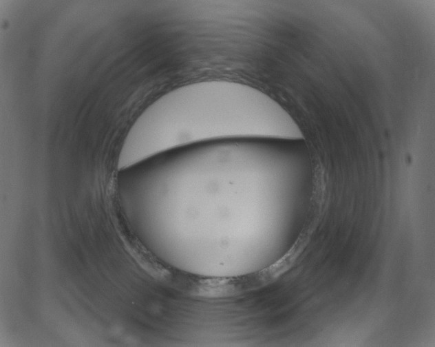 X0000081620090200701151105