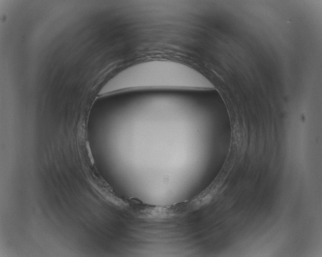 X0000081620092200701151106