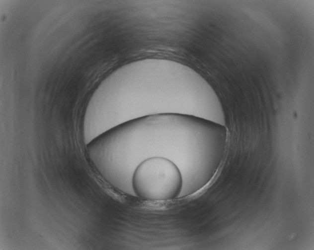 X0000081620094200701151106