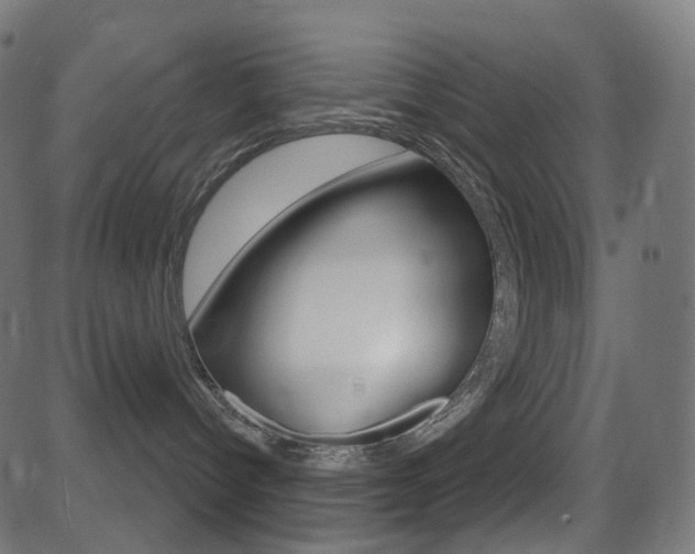 X0000081620096200701151106
