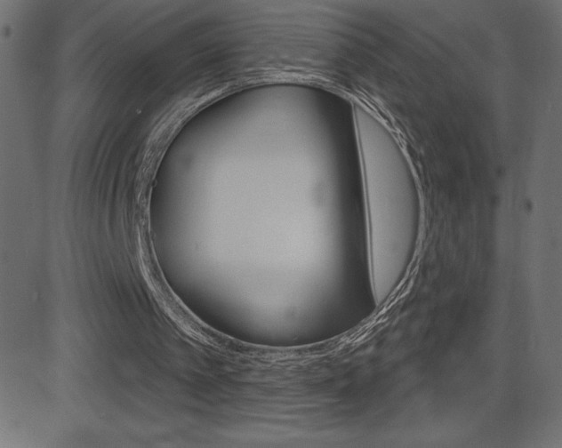X0000081620097200701151105
