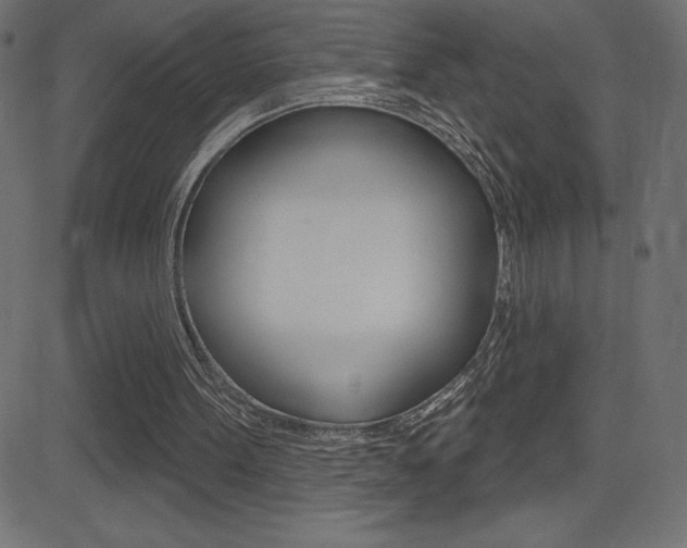 X0000081620099200701151105
