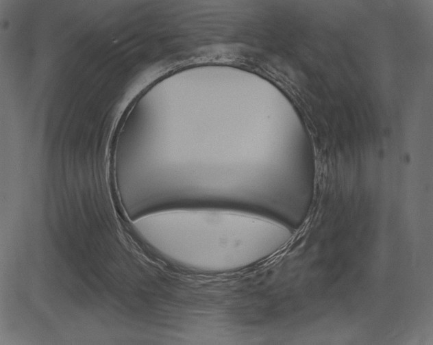 X0000081620100200701151105