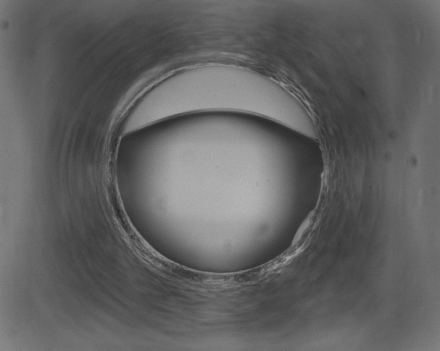 X0000081620101200701151105